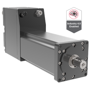 Tritex RDM/G DC Drehantrieb